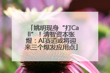 姚明现身“打Call”！清智资本张煜：AI赛道或将迎来三个爆发应用点