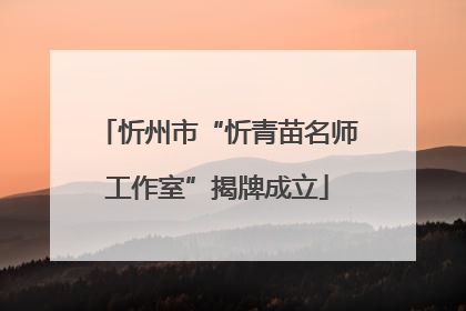 忻州市“忻青苗名师工作室”揭牌成立