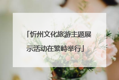 忻州文化旅游主题展示活动在繁峙举行