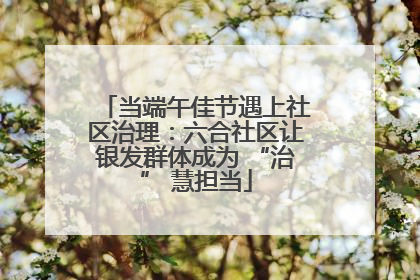 当端午佳节遇上社区治理：六合社区让银发群体成为 “治” 慧担当