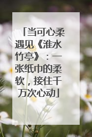 当可心柔遇见《淮水竹亭》：一张纸巾的柔软，接住千万次心动
