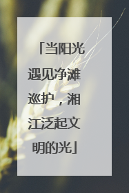 当阳光遇见净滩巡护，湘江泛起文明的光