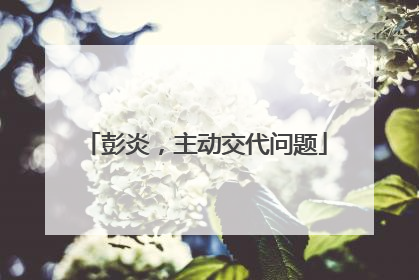 彭炎，主动交代问题