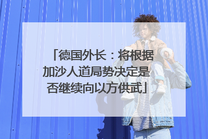 德国外长：将根据加沙人道局势决定是否继续向以方供武