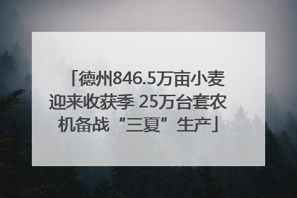 德州846.5万亩小麦迎来收获季 25万台套农机备战“三夏”生产