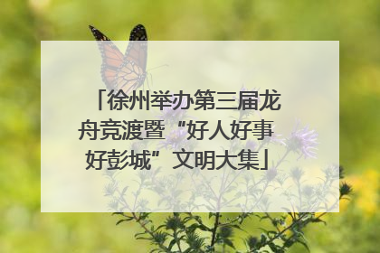 徐州举办第三届龙舟竞渡暨“好人好事好彭城”文明大集