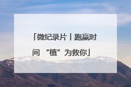 微纪录片丨跑赢时间 “植”为救你