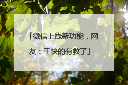 微信上线新功能，网友：手快的有救了