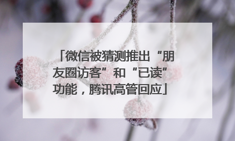 微信被猜测推出“朋友圈访客”和“已读”功能，腾讯高管回应