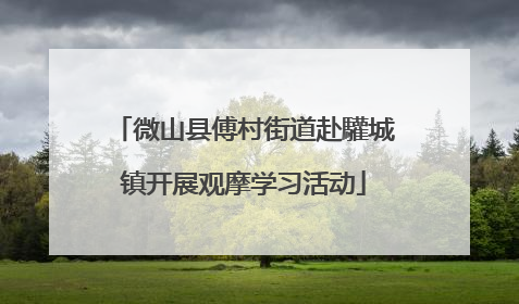微山县傅村街道赴驩城镇开展观摩学习活动