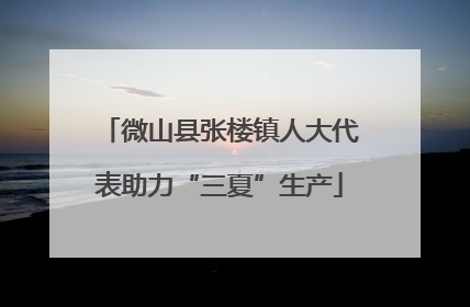 微山县张楼镇人大代表助力“三夏”生产