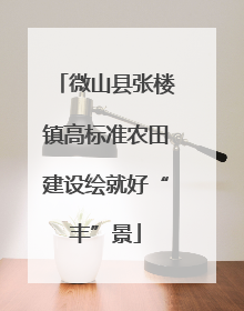 微山县张楼镇高标准农田建设绘就好“丰”景