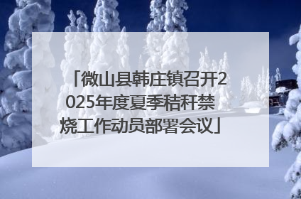 微山县韩庄镇召开2025年度夏季秸秆禁烧工作动员部署会议