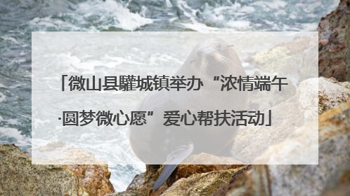 微山县驩城镇举办“浓情端午·圆梦微心愿”爱心帮扶活动