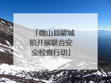 微山县驩城镇开展联合安全检查行动