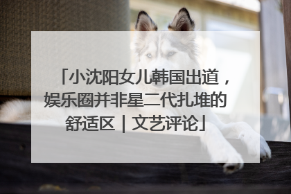 小沈阳女儿韩国出道，娱乐圈并非星二代扎堆的舒适区｜文艺评论