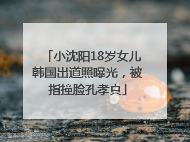 小沈阳18岁女儿韩国出道照曝光，被指撞脸孔孝真