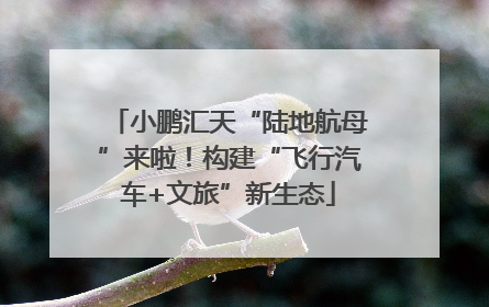小鹏汇天“陆地航母”来啦！构建“飞行汽车+文旅”新生态