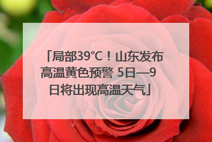 局部39℃！山东发布高温黄色预警 5日—9日将出现高温天气