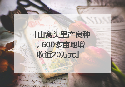 山窝头里产良种，600多亩地增收近20万元
