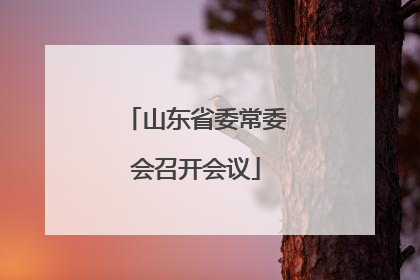 山东省委常委会召开会议