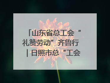 山东省总工会“礼赞劳动”齐鲁行｜日照市总“工会法律在线”解决职工愁“薪”事