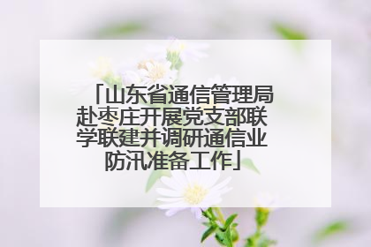 山东省通信管理局赴枣庄开展党支部联学联建并调研通信业防汛准备工作