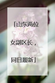 山东两位女副区长，同日履新