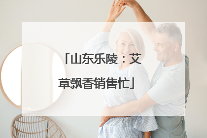 山东乐陵：艾草飘香销售忙