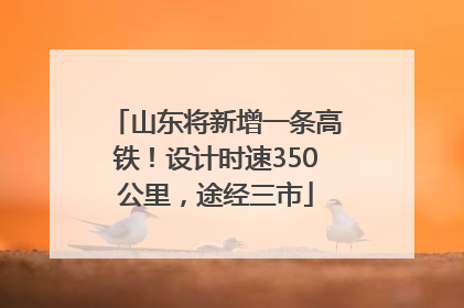 山东将新增一条高铁！设计时速350公里，途经三市