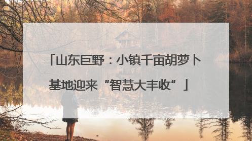 山东巨野：小镇千亩胡萝卜基地迎来“智慧大丰收”