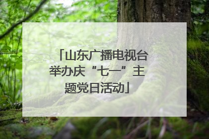 山东广播电视台举办庆“七一”主题党日活动