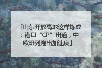 山东开放高地这样炼成：港口“CP”出道，中欧班列跑出加速度
