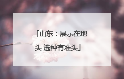 山东：展示在地头 选种有准头