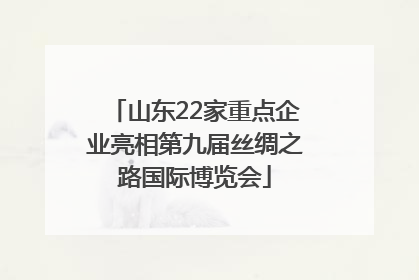 山东22家重点企业亮相第九届丝绸之路国际博览会