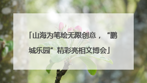 山海为笔绘无限创意，“鹏城乐园”精彩亮相文博会