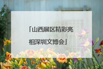 山西展区精彩亮相深圳文博会