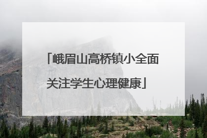 峨眉山高桥镇小全面关注学生心理健康