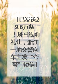 已发送29.6万条！斑马线前礼让，浙江一地交警向车主发“夸夸”短信