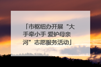 市枢纽办开展“大手牵小手 爱护母亲河”志愿服务活动