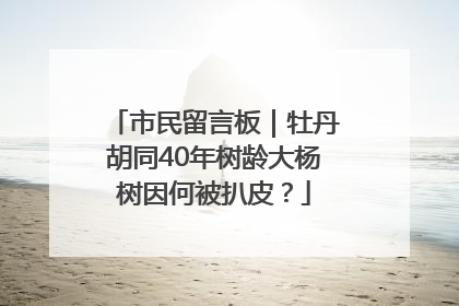 市民留言板｜牡丹胡同40年树龄大杨树因何被扒皮？