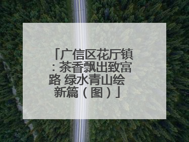 广信区花厅镇：茶香飘出致富路 绿水青山绘新篇（图）