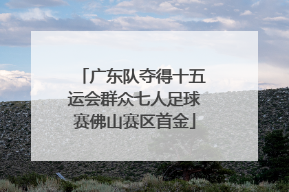 广东队夺得十五运会群众七人足球赛佛山赛区首金