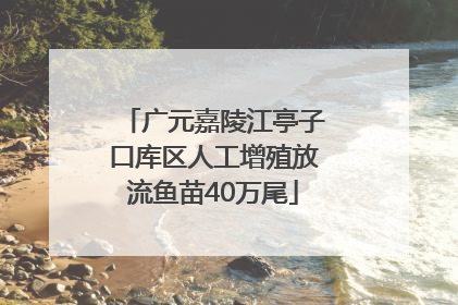 广元嘉陵江亭子口库区人工增殖放流鱼苗40万尾