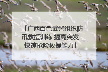 广西百色武警组织防汛救援训练 提高突发快速抢险救援能力