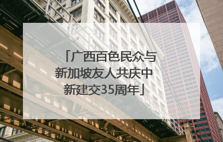 广西百色民众与新加坡友人共庆中新建交35周年