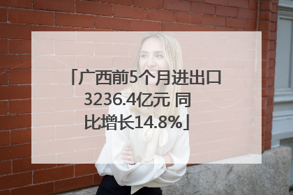 广西前5个月进出口3236.4亿元 同比增长14.8%