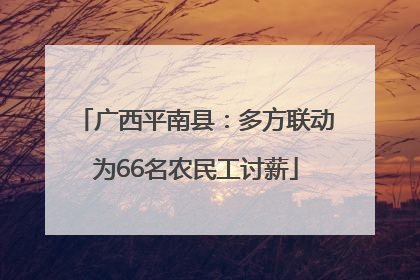 广西平南县：多方联动为66名农民工讨薪