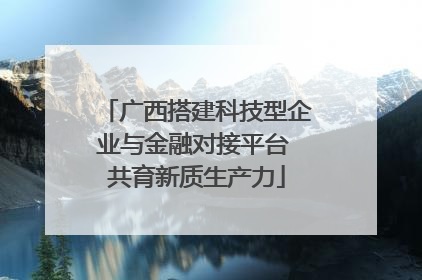 广西搭建科技型企业与金融对接平台 共育新质生产力