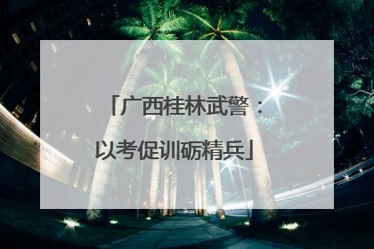 广西桂林武警：以考促训砺精兵
